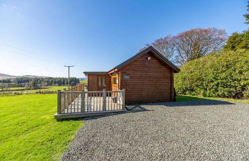 Pine Marten Lodge with Hot Tub - Foto 19