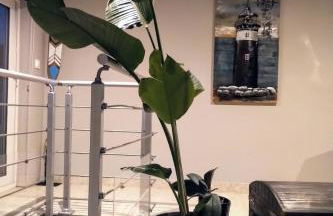 La palmeraie de brévy - Foto 7