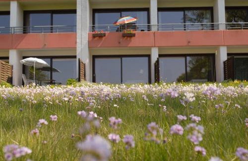 Ferienhaus Uklei - Foto 30