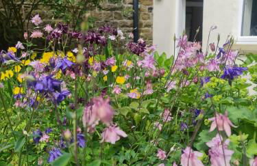 Mayfield Cottage - Foto 40