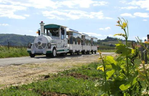 La Maison de ma Mère - Vue sur le Vignoble Saint-Joseph - Foto 24