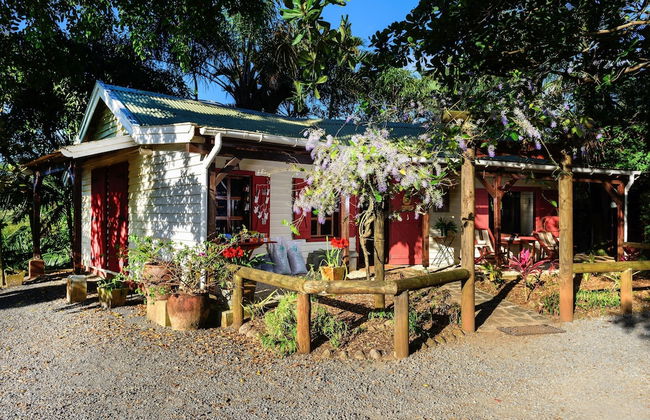 La Vieille Cheminee - Photo 5