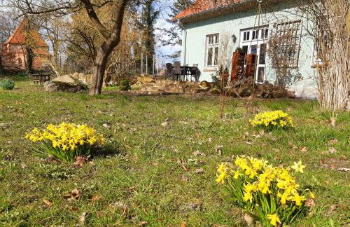 Ferienhaus Salvia - Foto 23