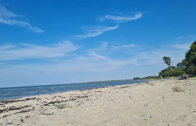 6 Person Holiday Home in Brenderup Fyn - Photo 45