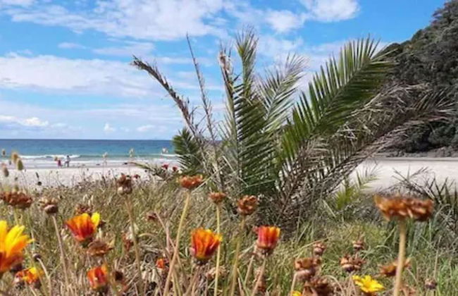 Onetangi Beach Apartments - Photo 67