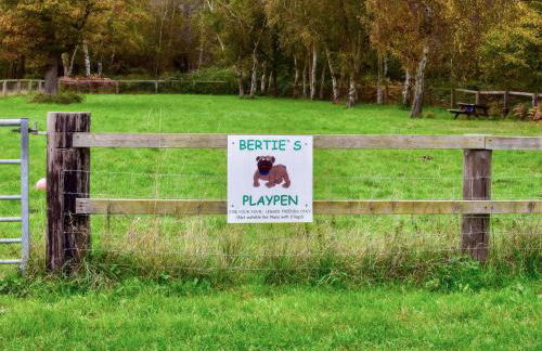 George Lodge - Foto 7