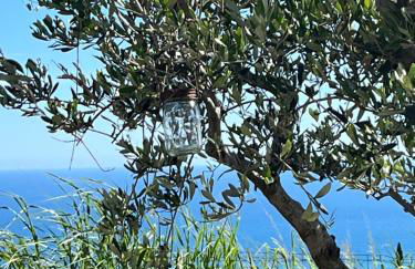 Bella Vista Poggi 180Grad fantastischer Meerblick & Pool - Foto 22