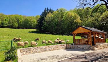 Apartman Silvija - Foto 3