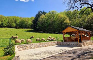 Apartman Silvija - Foto 3