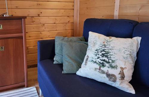 Domki na Górniej Łące - Domek Słowik - Foto 41