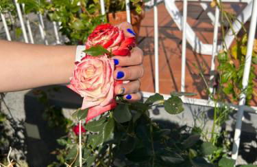 Tropical Garden - Photo 50