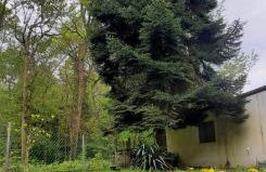 Forest Inn, retreat in nature - Foto 8