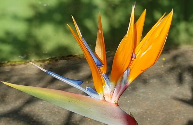 Le Radici Casa Vacanze - Foto 54