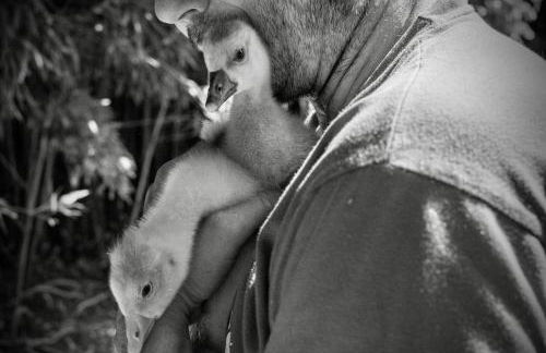 Moulin de Tartay en Avignon - Foto 69