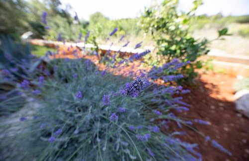 Apartmani tamaris - Photo 46