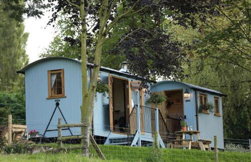 Upper Gelli Luxury Holiday Lodge, Converted Dairy & Cosy Shepherds Huts - Photo 71