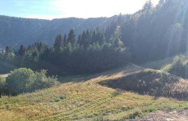 bel appartement 3 pièces dans la Résidence Vosges-Alsace Orbey - Foto 7