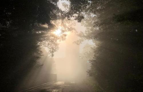 Ferienhaus Eisenach - Foto 37