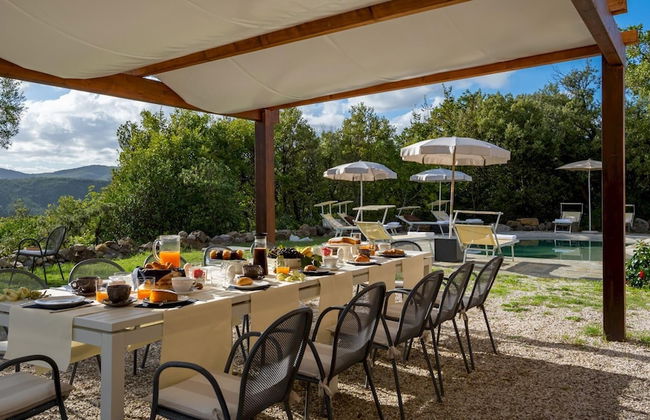 Terripi 10 in Pomarance - Foto 3