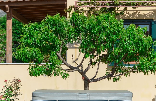 Naxos Cottage - Foto 40