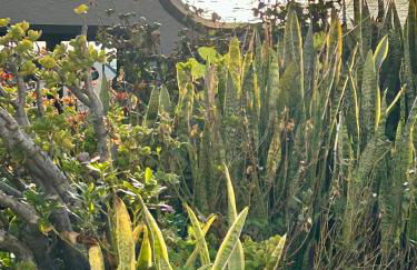 Casa Carneirinho by Olá Madeira - Foto 46