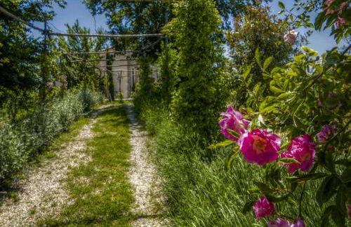 Agriturismo Cignale della Società Agricola Cignale srl - Photo 69