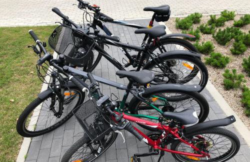 Baltic Porto Wyspa Sobieszewska - Rowery i Taras - Photo 15