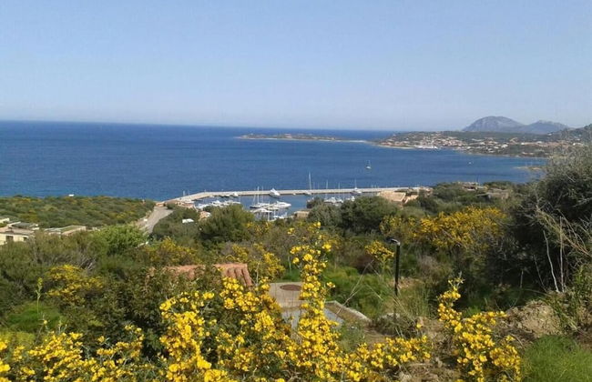 Domus Corallia Luxury Rooms - Foto 35