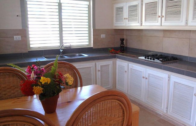 Oasis Hotel Las Terrenas - Foto 6