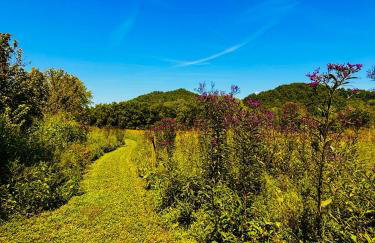 Hiker's Haven at Three Suns Cabins - Foto 8