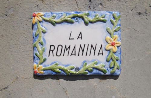 La Romanina - Photo 54