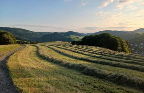 Hausamaarbach - Foto 16