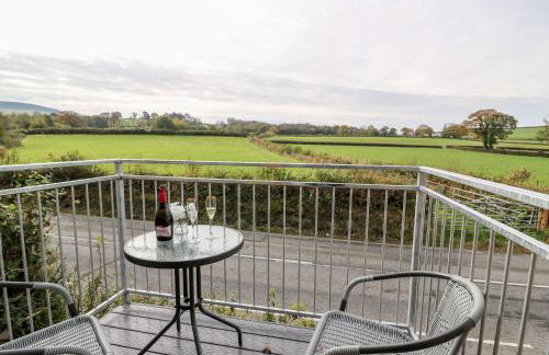 Field View - Foto 21