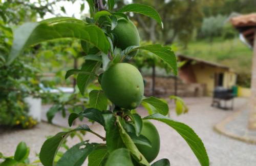 Casa Rural El Bonito - Photo 6