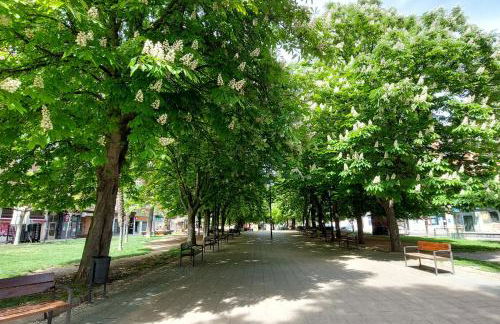 Ático Ángela - Foto 37