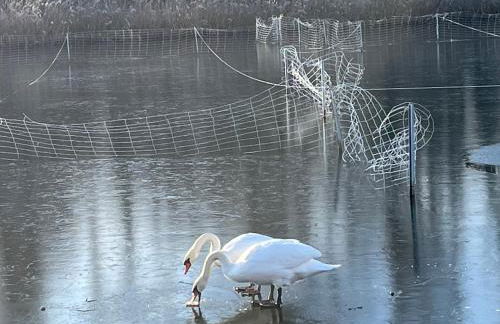 Ferienwohnung Seehofblick - Foto 12