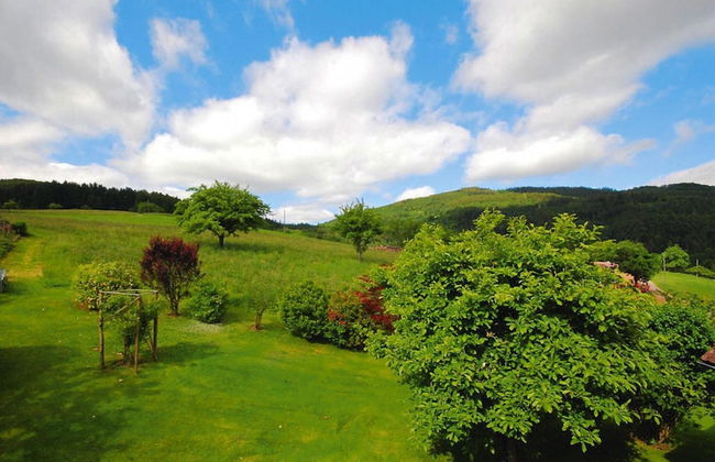 Apartment in Sallneck Near Nonnenmattweiher Lake - Foto 29