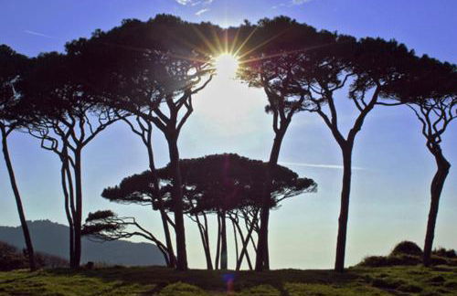 Agriturismo Val di Sterza - Foto 10