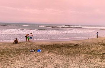 Front de plage - Foto 13