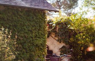 Former Monastery With Pool In Loire Valley - Foto 4