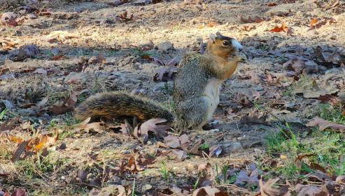 Raka Ranch Barndominium - Foto 3