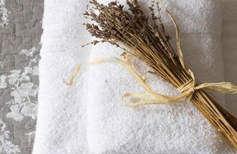 Sidlesham Hideaway Logburner & Garden - Photo 19