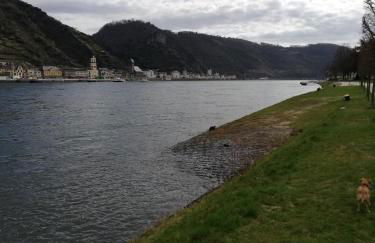Panorama-Rheinblick St. Goar - Foto 22