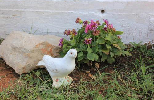 Apartments by the sea Pasman - 8215 - Foto 12