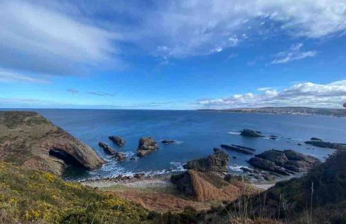 Chemist's House - Foto 20