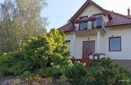 Przytulne Studio Borówkowy Zagajnik - Foto 1