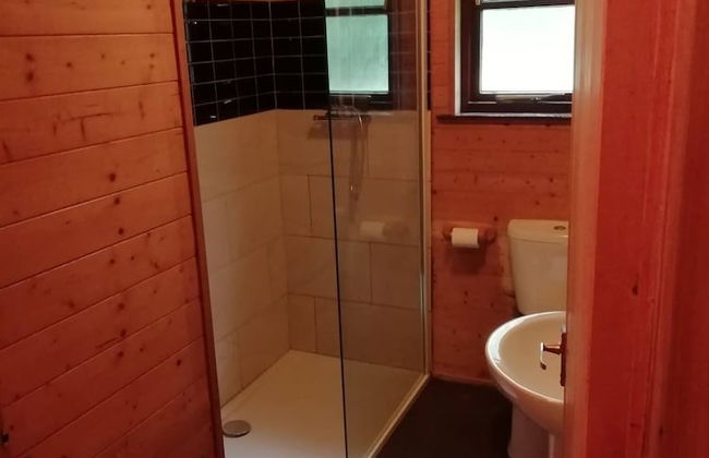 Goldcrest 1 Hot Tub - Foto 11