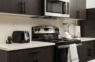 Radiant Vibes Spacious 2BR 2BA 2 King Beds Gym WFH - Foto 5