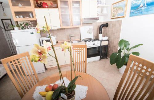 Apartment Alba - Photo 14