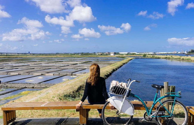 Aveiro Bike Tour - Photo 2